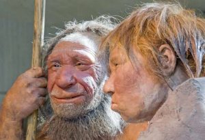 Sie wirkt wie ein Mensch – doch die genetische Analyse enthüllt Überraschendes
