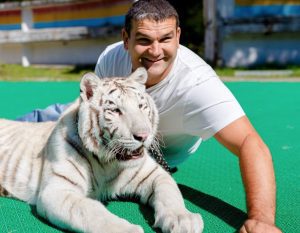 Nach fünf Jahren Wiedersehen: Niemand konnte ahnen, wie der weiße Tiger auf seinen Pfleger reagieren würde