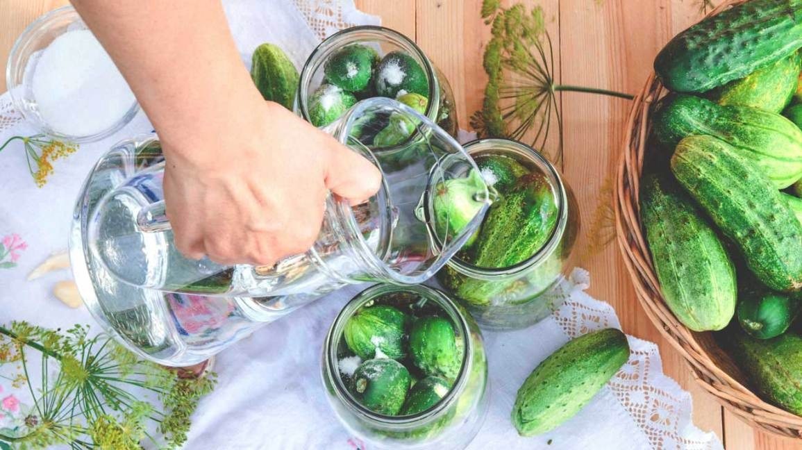 Vertrauen Sie uns: Essig ist die Lösung!