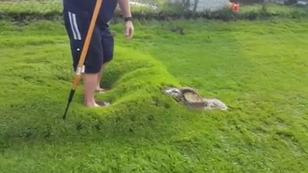 „Ne próbáljátok ezt otthon, gyerekek”: Egy férfi, aki egy heves esőzés után egy „vízbuborékot” talált a füve alatt, ráugrott, majd BELEÜTÖTT egy bottal